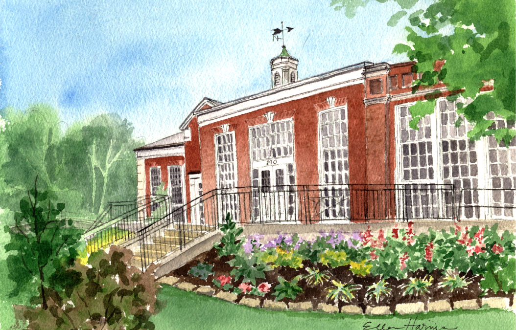 Library Garden – Plant Guide