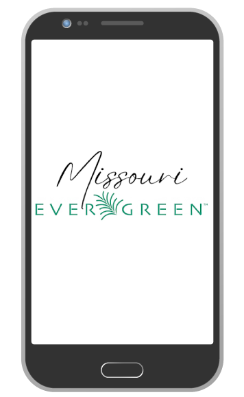 smartphone screen with the logo for the Missouri Evergreen app which features the words "missouri" and Evergreen" with a cluster of pine needles